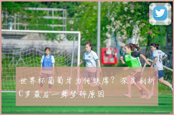 世界杯官方认证平台